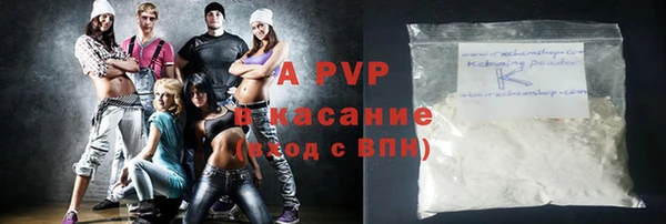 твердый Богданович