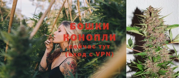 твердый Богданович