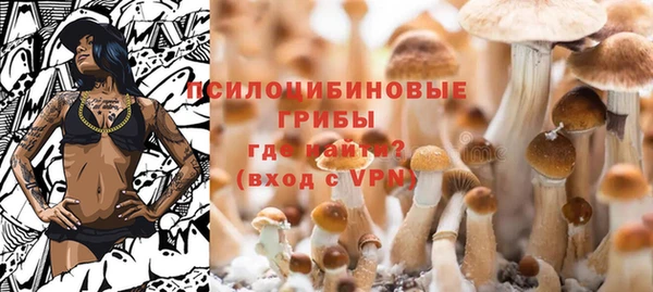 твердый Богданович