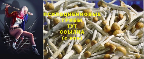 не бодяженный Богородск
