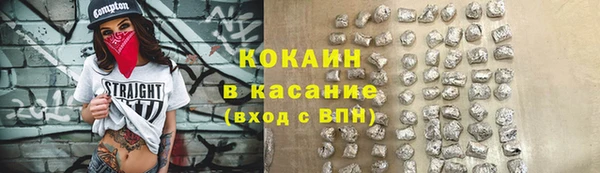 твердый Богданович